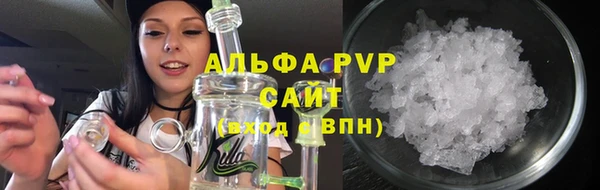 стафф Надым