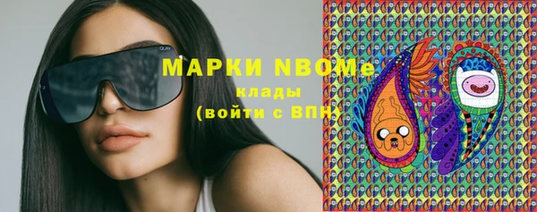 стафф Надым